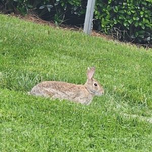 Meet your Posher, Usha